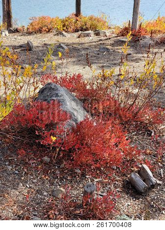 Foliage In Vibrant Fall Colors Of Red And Yellow Along The Shores Of Elk Lake In The Cacade Mountain