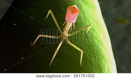 3d rendered medically accurate illustration of a bacteriophage on a bacteria