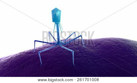 3d rendered medically accurate illustration of a bacteriophage on a bacteria
