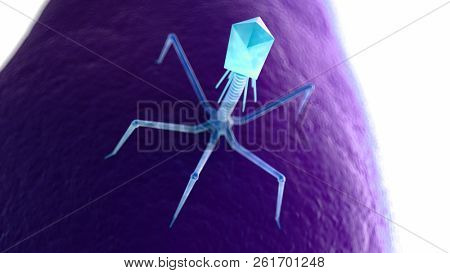 3d rendered medically accurate illustration of a bacteriophage on a bacteria