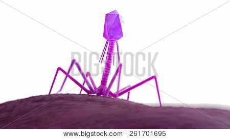 3d rendered medically accurate illustration of a bacteriophage on a bacteria
