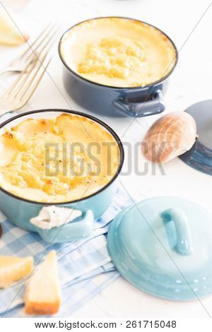 Seafood Concept With Mussels
