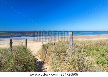 Ile de RÃ©e- Beach exit with grass sand and sea at the horizon