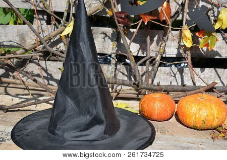 Hat Of Witch On With A Pumpkin For Halloween