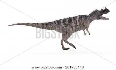 3d rendered illustration of a ceratosaurus
