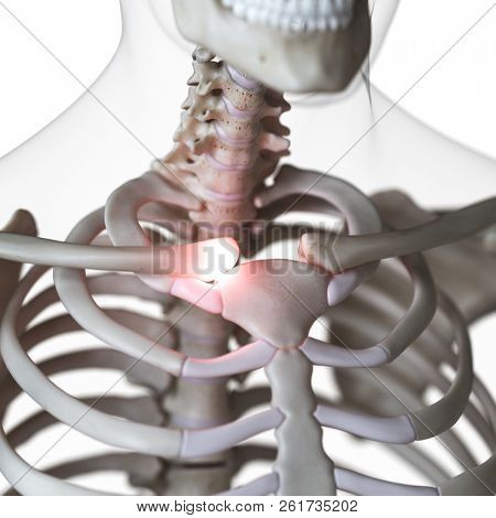 3d rendered medically accurate illustration of painful sternoclavicular joint