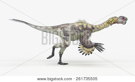 3d rendered illustration of a citipati