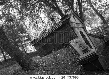 An old tomb alone in the woods