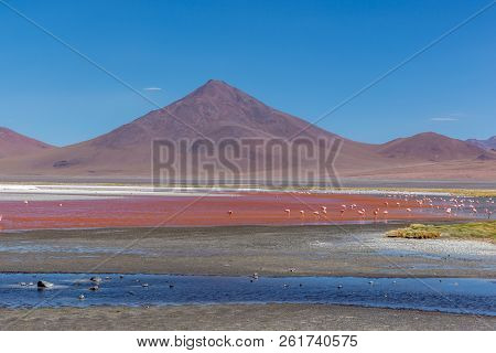 Amazing Landscape In Bolivia