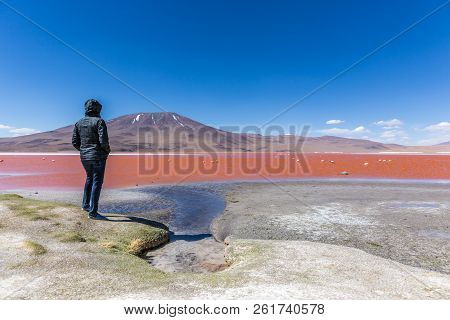 Tourist Enjoying The Surreal View Of Laguna Colorado In Bolivia