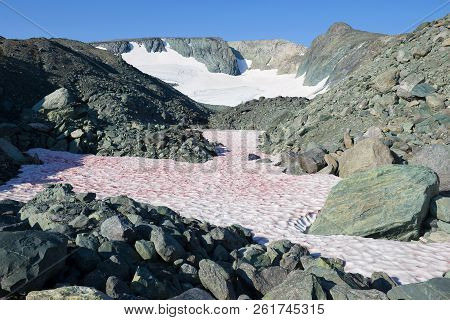 At Igan Glacier. Polar Ural Mountains, Russia