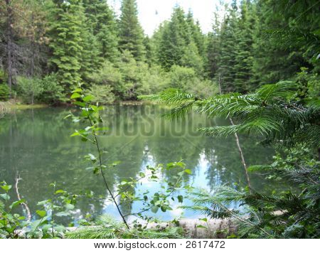 Stagno Mountian