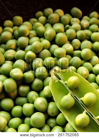 Macro Closeup Top View Of Shelled Green Peas Shot In Twilight Sunlight With An Opened Pod Fruit Plac