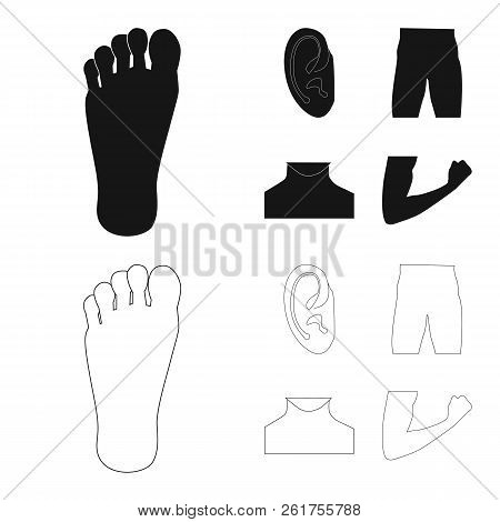 Vector Design Of Human And Part Sign. Collection Of Human And Woman Vector Icon For Stock.