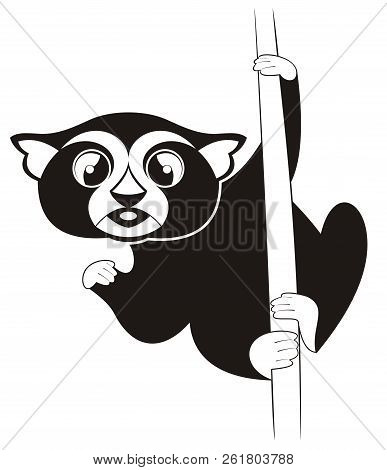 Lemur Original Black On White Illustration. Cute Lemur Holds On The Tree Isolated Illustration