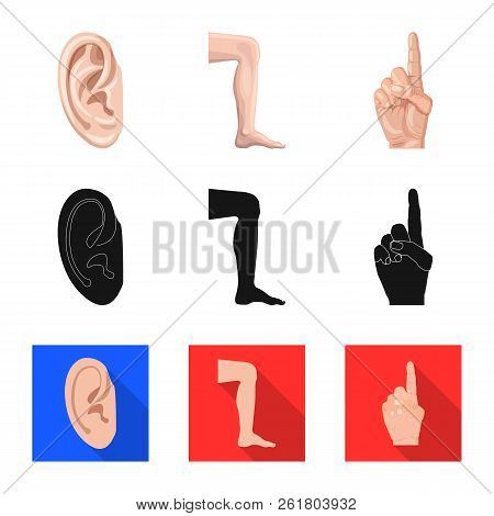 Vector Design Of Human And Part Symbol. Set Of Human And Woman Vector Icon For Stock.