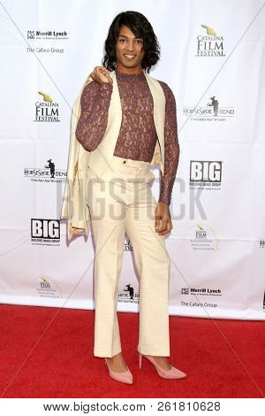 AVALON - SEP 28:  Chris Schermerhorn at the Catalina Film Festival - Friday Red Carpet at the Casino on September 28, 2018 in Avalon, CA