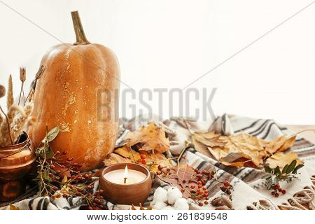 Happy Thanksgiving Concept. Beautiful Pumpkin, Candle Light, Fall Leaves, Berries, Nuts, Acorns, Cot