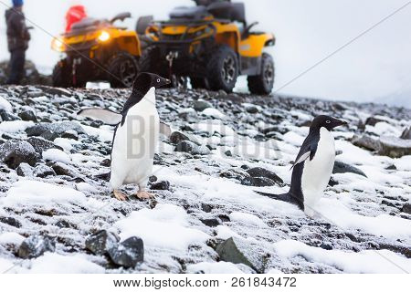 Beautiful Landscape And Scenery In Antarctica