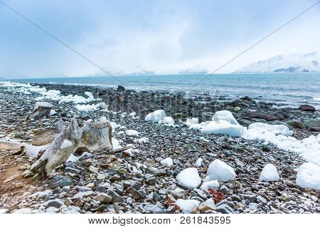 Beautiful Landscape And Scenery In Antarctica