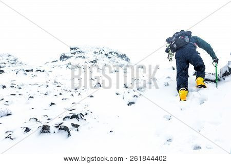 Beautiful Landscape And Scenery In Antarctica