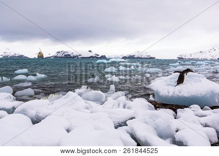 Beautiful Landscape And Scenery In Antarctica