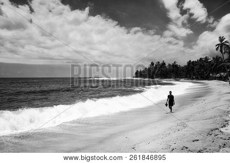 Wild caribbean beach landscape