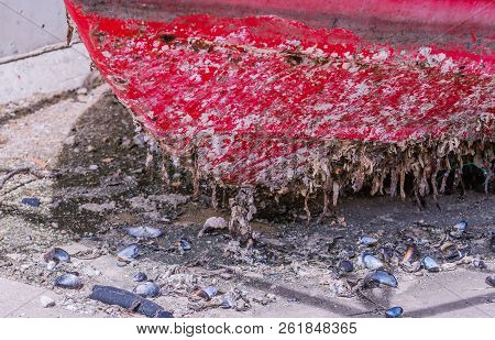 Front View Of Bottom Of Old Dilapidated Fishing Boat With Barnacles Sitting On Concrete.