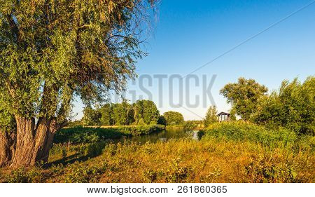 Colorful Dutch Nature Reserve De Groesplaat With A Creek And Wild Plants In The Summer Season. In Th