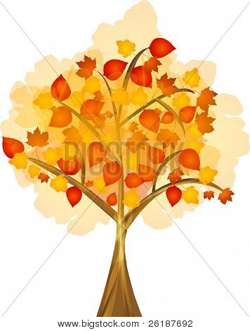 autumn tree with colourful leafs