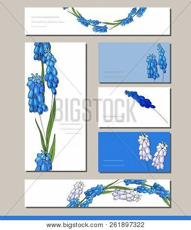 Muscari Set With Visitcards And Greeting Templates