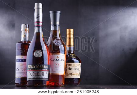 Bottles Of Famous Cognac Brands