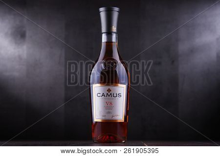 Bottle Of Camus, A Brand Cognac From Cognac, France