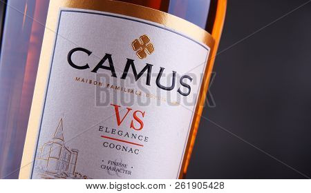 Bottle Of Camus, A Brand Cognac From Cognac, France