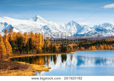 Kidelu Lake, Snow-covered Mountains And Autumn Forest In Altai Republic, Siberia, Russia