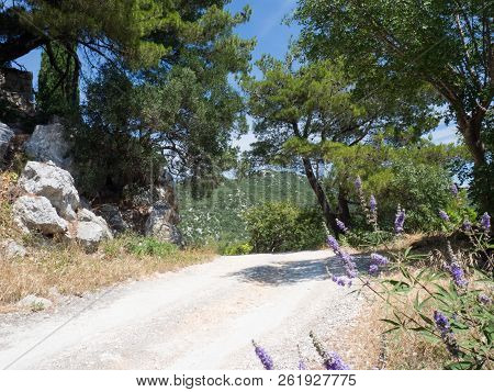 Old Road Leading Around Beautiful Bacina Lakes - Favourite Summer Holiday Destination In Dalmatia, C