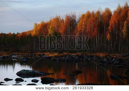 Evening Light At Treholmen In Vasterbotten, Sweden.