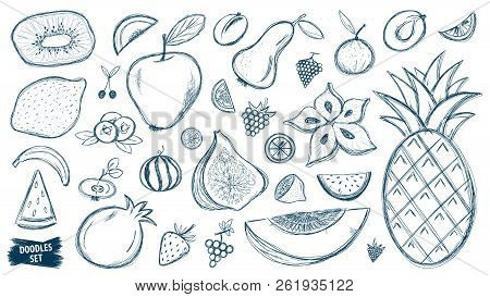 Fruits Doodles Set. Tropical Fruit. Summer. Berry. Scribble Collection. Quirky Sketches. Grape. Blue