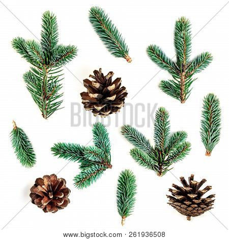 Set Of Fir Branches And Pine Cones Isolated On White Background. Confier Tree Branch.  Christmas And