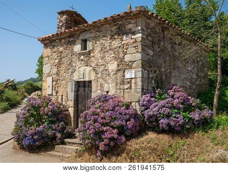 Small Chapel Of La Pereda With Blooming Hydrangeas, Camino De Santiago, Asturias Spain