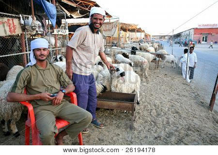 Herdar på boskap marknaden i Doha, Qatar, Arabien. Ingen release, redaktionellt bruk endast.