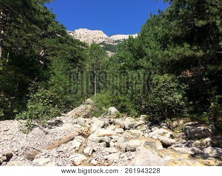 Nature In The Mountains On The Southern Coast Of Crimea. Botkin, Tarakhtashskaya, Miskhorskaya Trail