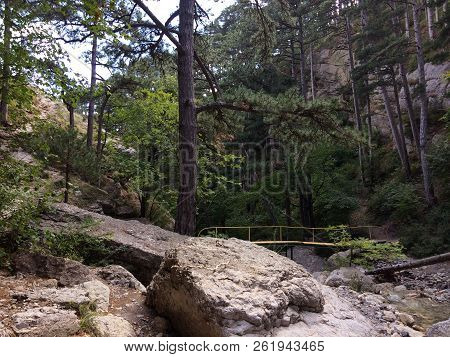 Nature In The Mountains On The Southern Coast Of Crimea. Botkin, Tarakhtashskaya, Miskhorskaya Trail