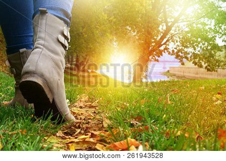 Female Legs In Grey Shoes And Jeans Walking On The Autumn Forest Path With Yellow Leaves