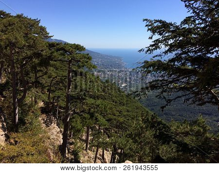 Nature In The Mountains On The Southern Coast Of Crimea. Botkin, Tarakhtashskaya, Miskhorskaya Trail