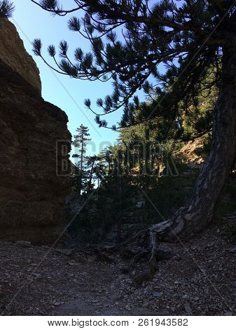 Nature In The Mountains On The Southern Coast Of Crimea. Botkin, Tarakhtashskaya, Miskhorskaya Trail