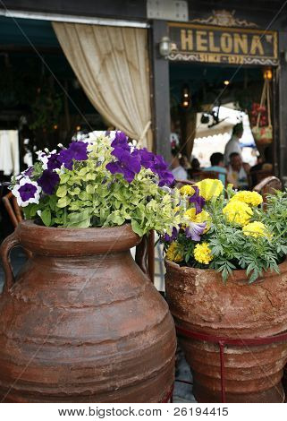 Kreta krukker med blomster uden for en taverna i Rethymno