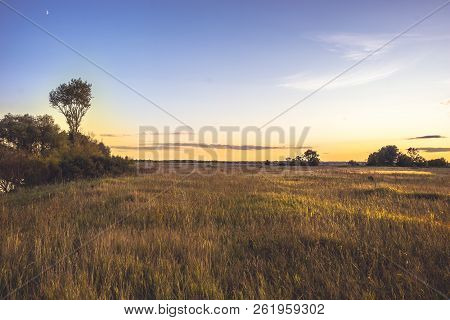 Summer Countryside Landscape Sunset At Golden Summer Flatland Field With Flowers And Dramatic Moody 