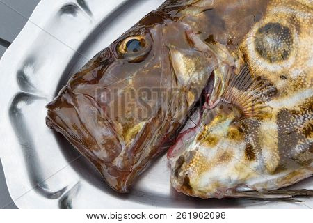 St Pierre On A Pewter Dish After Fishing In Brittany