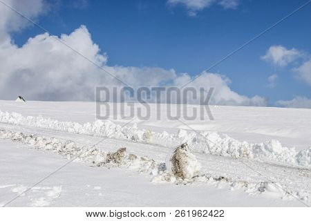 Langjokull Glacier In Iceland